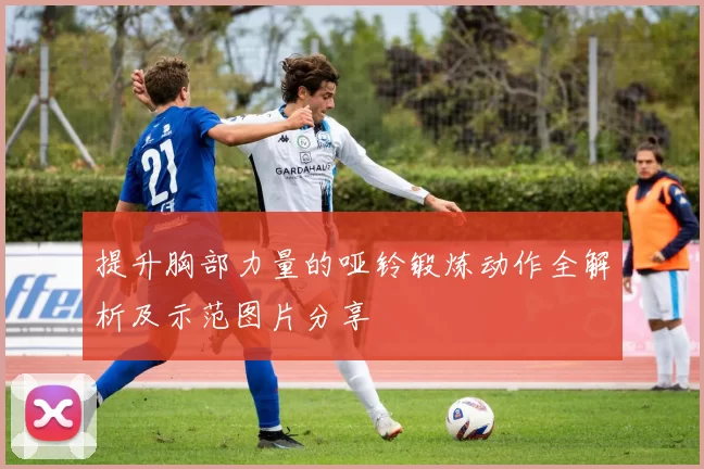 提升胸部力量的哑铃锻炼动作全解析及示范图片分享