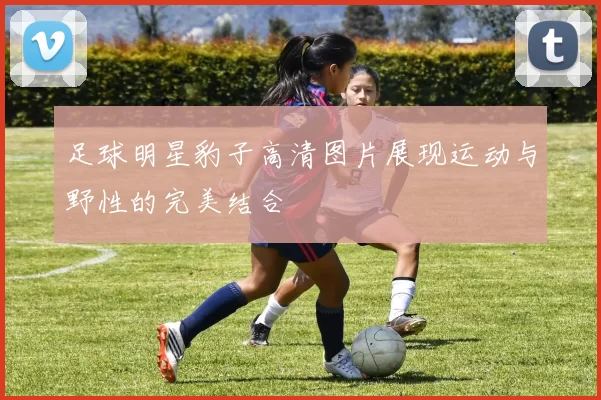 足球明星豹子高清图片展现运动与野性的完美结合