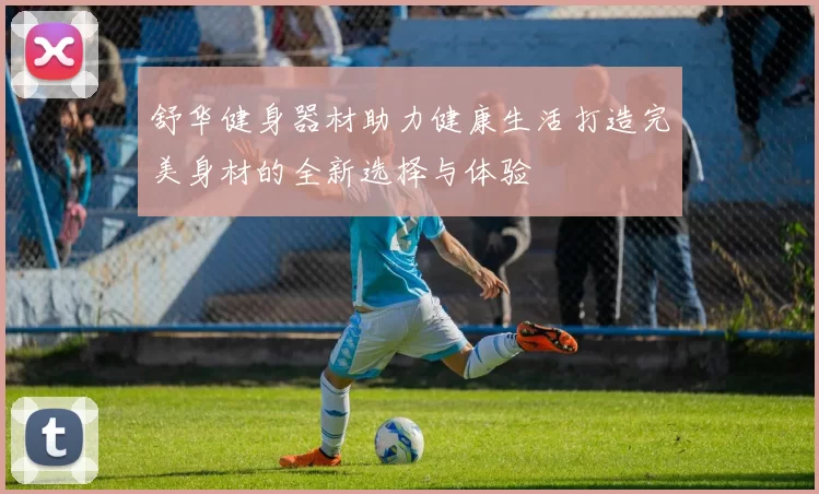 舒华健身器材助力健康生活打造完美身材的全新选择与体验