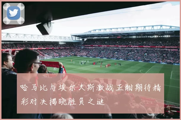 哈马比与埃尔夫斯激战正酣期待精彩对决揭晓胜负之谜