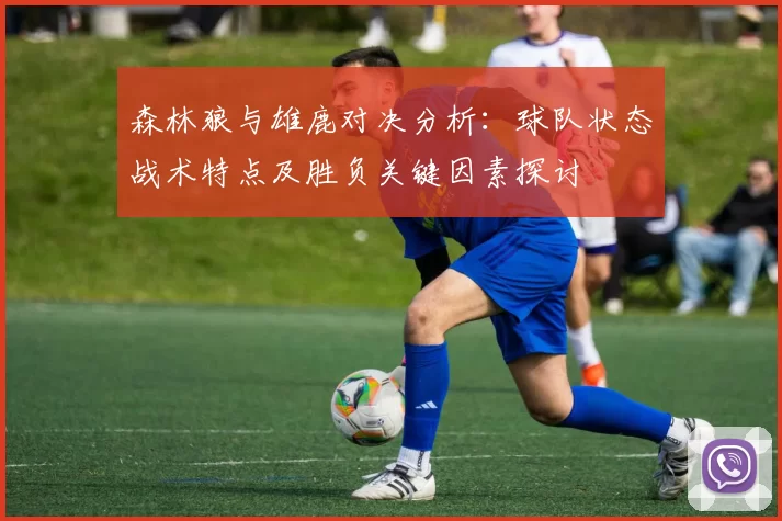 森林狼与雄鹿对决分析：球队状态战术特点及胜负关键因素探讨