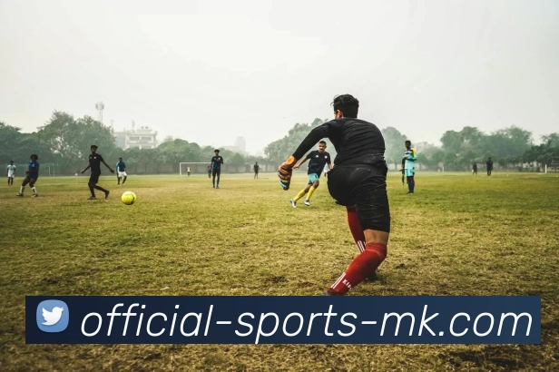 舒华健身器材助力健康生活打造完美身材的全新选择与体验